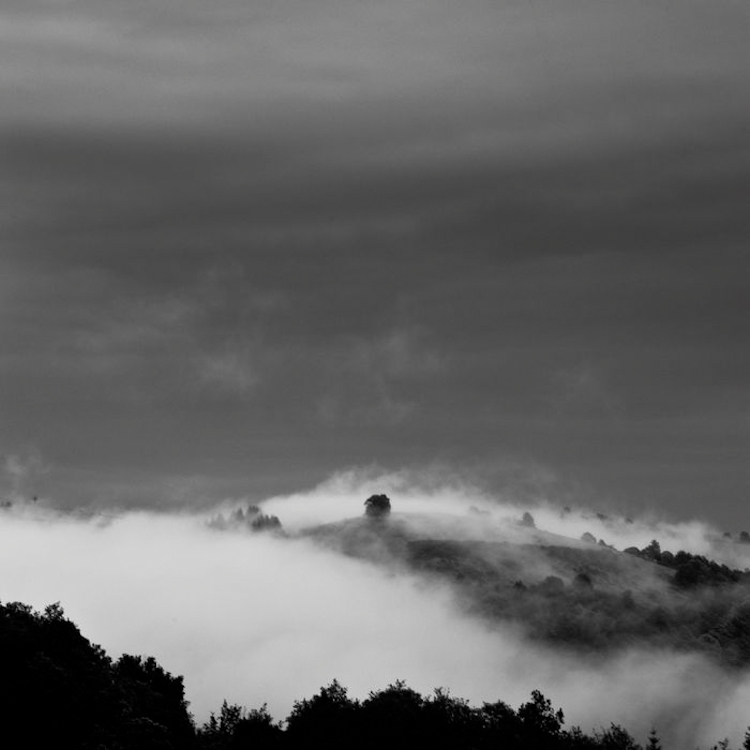 Arbre sur la colline